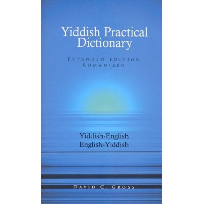English-Yiddish/Yiddish-English Practical Dictionary (Expanded Romanized Edition) - (Gross David)(Paperback)