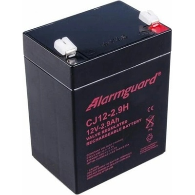 Alarmguard 12V 2,9Ah