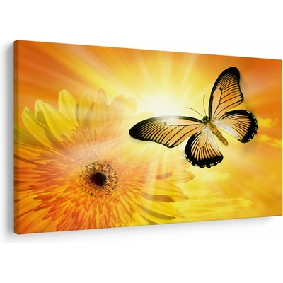 Obraz - Žltý motýľ s kvetom, jednodielne 120x80 cm