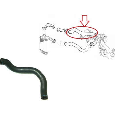 Hadica plniaceho vzduchu Fiat Ducato 1994-2006 2,8 JTD z intercoolera do klapky 1337346080