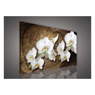 Obraz na plátne obdĺžník - OB1072 - Biele kvety 100cm x 75cm - O1