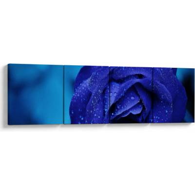 Obraz modrej ruže, štvordielne 160x40 cm