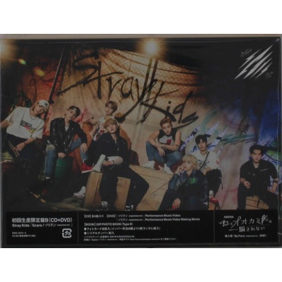 Stray Kids: Scars / Thunderous (Sorikun) Limited Edition, Type B CD+DVD