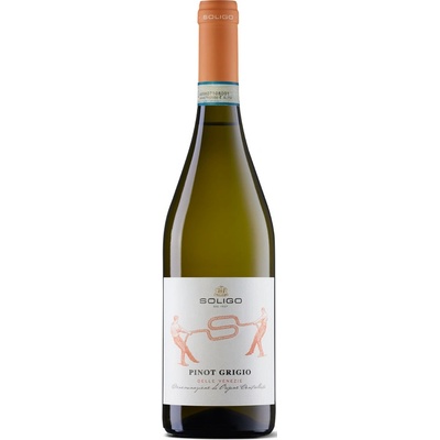 Cantina Colli Del Soligo Pinot Grigio DOC 12% 0,75 l (holá láhev)