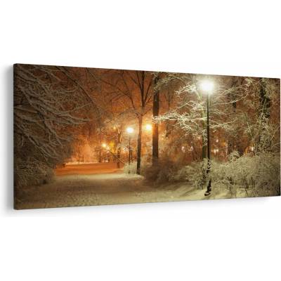 Obraz - Zasnežený park, jednodielne 250x125 cm