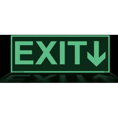 Traiva s.r.o EXIT - nápis se šipkou Verze: Samolepka 200 x 80 mm tl. 0.1 mm - Kód: 09795