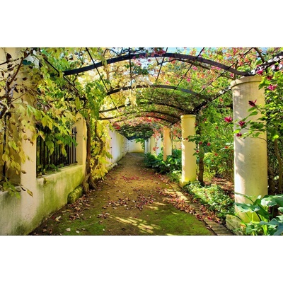 Preinterier FT0153 Fototapeta na stenu Záhrada vlies 104cm x 70cm