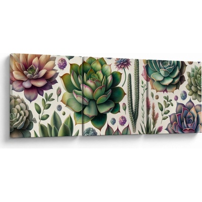 Obraz - Sukulenty, trojdielne 120x40 cm