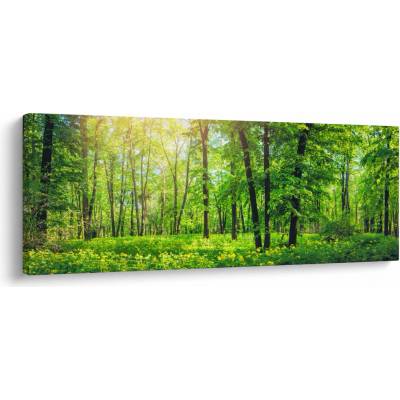 Obraz - Jarní listnatý les, jednodílný 145x58 cm