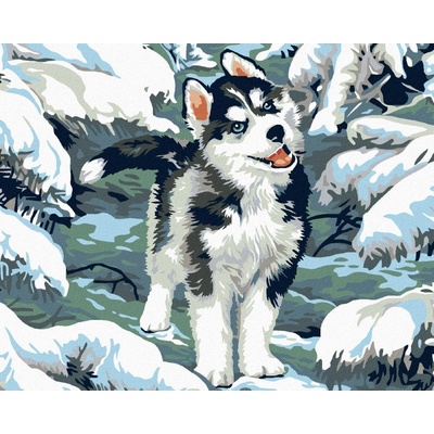 zuty husky 100 x 80 cm vypnuté plátno na rám 8596530007432 – Hledejceny.cz