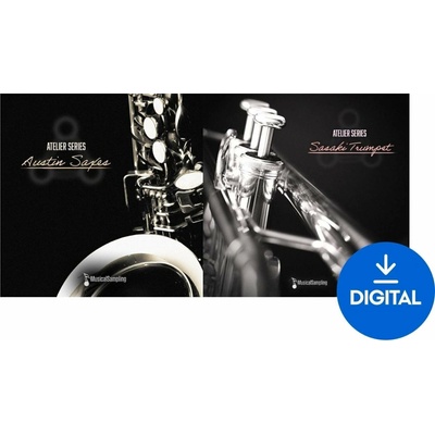 Musical Sampling Atelier Series Austin Bundle (Digitálny produkt)
