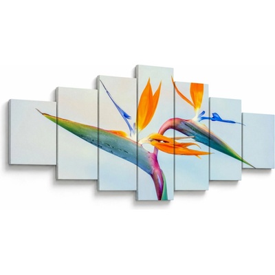 Obraz kvetu Strelícia, sedemdielne 210x100 cm