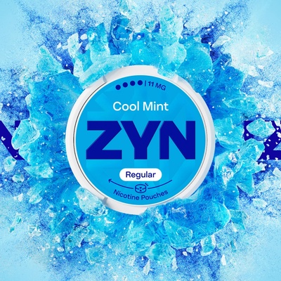 ZYN Cool Mint Regular 11 mg krabička 21 vrecúšok