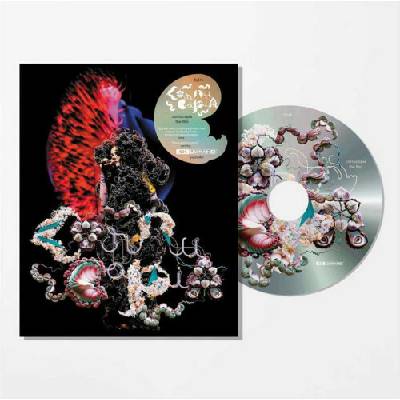 Björk Cornucopia live BD