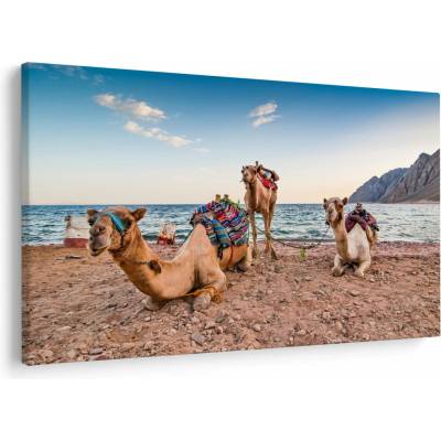 Obraz tiav, jednodielne 120x80 cm