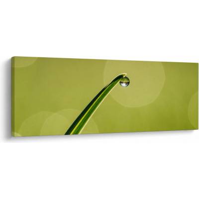 Obraz kvapky vody na tráve, jednodielne 100x40 cm