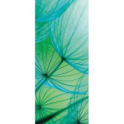 Preinterier DV0221 Fototapeta na stenu Modrá púpava vlies 91cm x 211cm