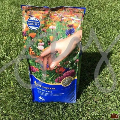 Kiepenkerl okrasná směs květinová louka 1 kg