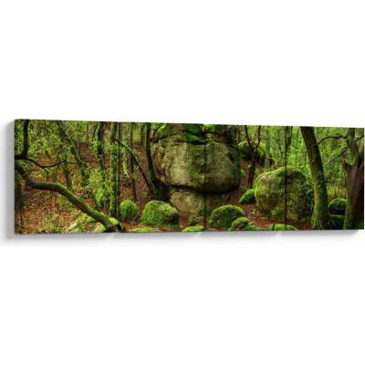 Obraz čarovného lesa, štvordielne 160x40 cm