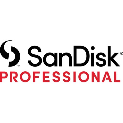SanDisk Professional G-RAID SHUTTLE 4 SDPH34H-024T-MBAAB