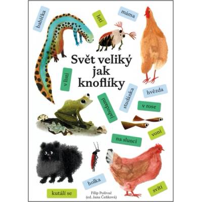Svět veliký jak knoflíky - Milena Lukešová – Hledejceny.cz
