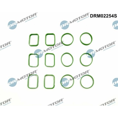 DR.MOTOR AUTOMOTIVE Sada tesnení kolena nasávacieho potrubia DRM02254S