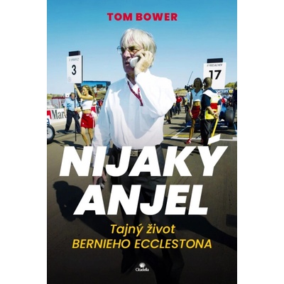 Nijaký anjel - Tom Bower