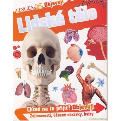 Lidské tělo