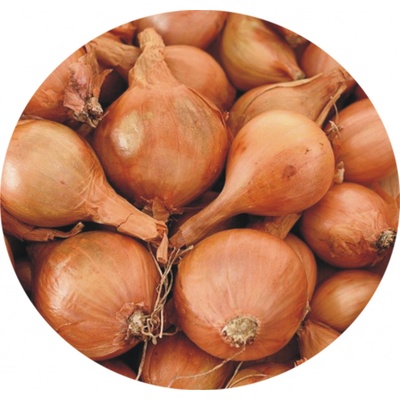 SimonSeed Cibuľa sadzačka šalotka- žltá 0,25 kg