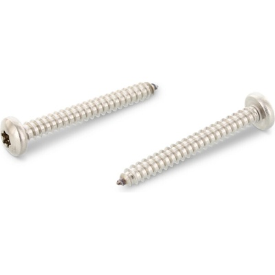 INOX ISO 14585 samořezný šroub do plechu, válcová hlava na TORX, nerez A4 Varianta: ISO 14585 samořezný šroub, válcová hlava na TORX, nerez A4 C 6,3X70 TX30 – Hledejceny.cz
