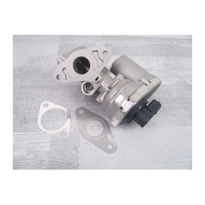 SKV EGR Ventil FORD TRANSIT TDCI FIAT DUCATO 2.2D