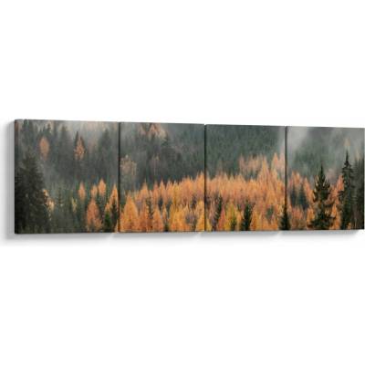 Obraz - Jesenný les, štvordielne 160x40 cm