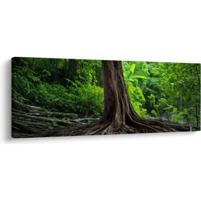 Obraz - Starý strom s koreňmi, jednodielne 145x58 cm