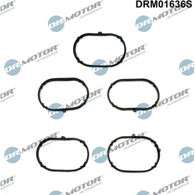 Sada tesnení kolena nasávacieho potrubia Dr.Motor Automotive DRM01636S