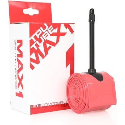 MAX1 FV