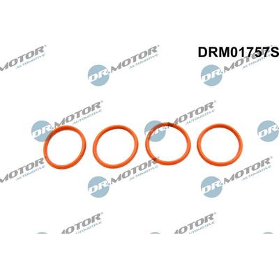 Sada tesnení kolena nasávacieho potrubia Dr.Motor Automotive DRM01757S