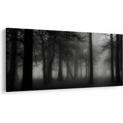 Obraz - Les v hmle, jednodielne 250x125 cm