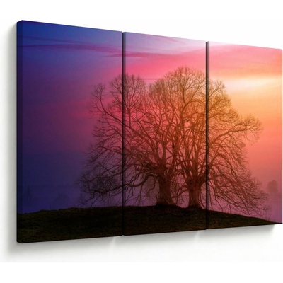 Obraz stromů v mlze, třídílný 120x80 cm