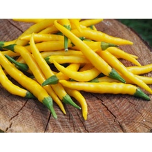 CHILLIMAT Semena chilli Cayenne Yellow 10 ks