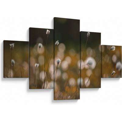 Obraz - Louka s cottongrass N⁰2, pětidílný 125x70 cm