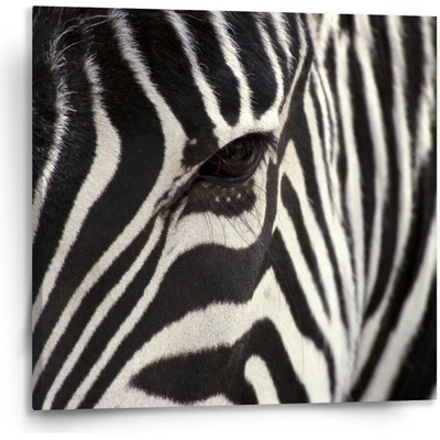 Sablio Obraz Detail zebra - 110x110 cm