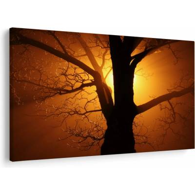 Obraz stromu v západu slunce, jednodílný 120x80 cm