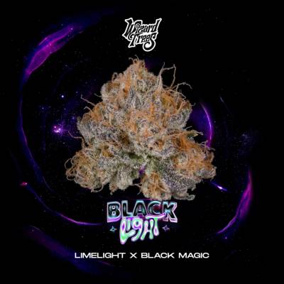 Wizard Trees Black Light semienka neobsahujú THC 3 ks
