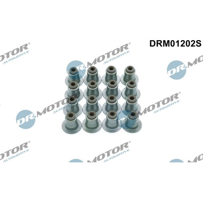 DR.MOTOR AUTOMOTIVE Sada tesnení drieku ventilu DRM01202S
