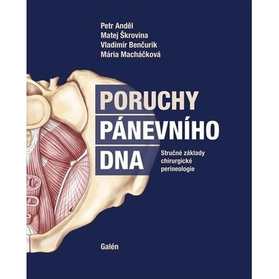 Poruchy pánevního dna - Petr Anděl