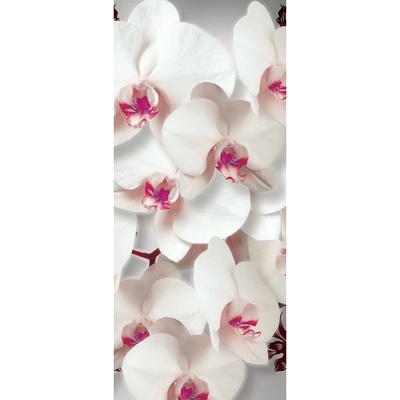 Preinterier Fototapeta - DV0318 - samolep. fólia - 91cm x 211cm