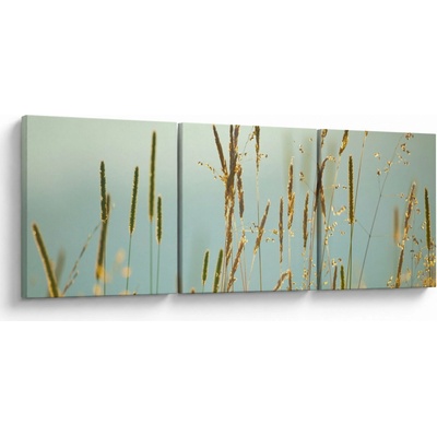 Obraz - Lúčny okamih, trojdielne 150x50 cm