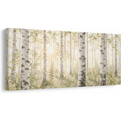 Dovido Obraz ranní světlo mezi břízami - 120x60
