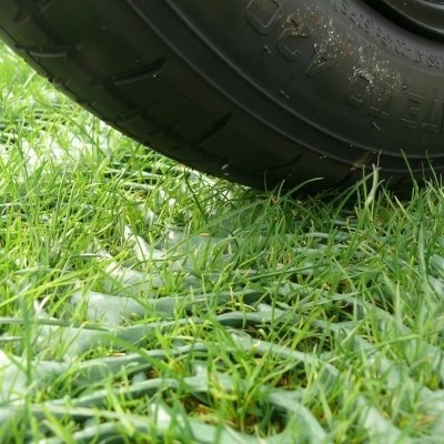 GrassRoll Extra Zatravňovací 2 x 15 m zelená 1 ks