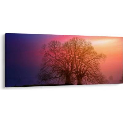 Obraz stromov v hmle, jednodielne 120x50 cm